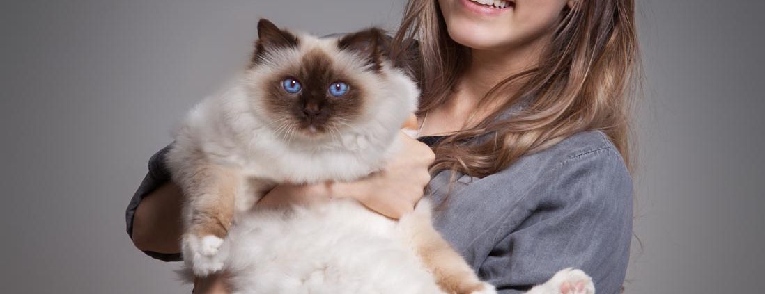 Girl holding a cat in the studio